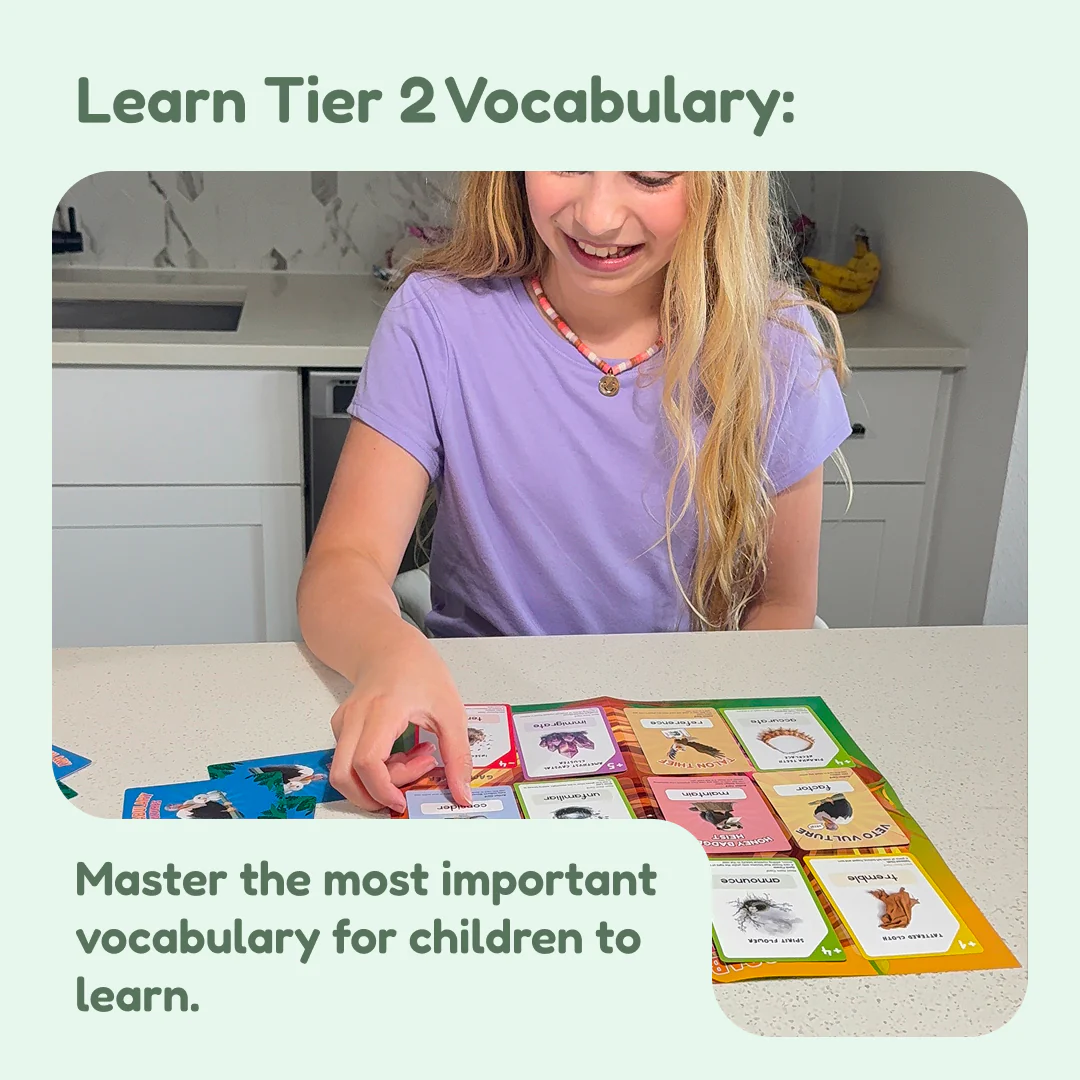 Vocabulary Vultures - Image 6